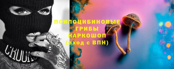 крисы Баксан