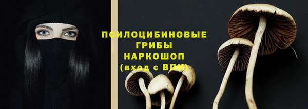 ECSTASY Балахна