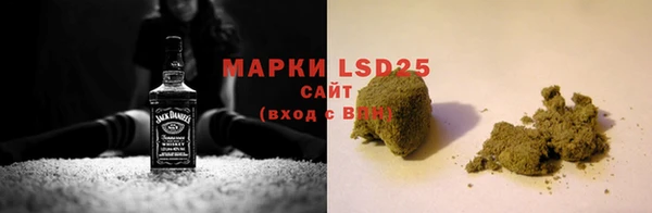 крисы Баксан