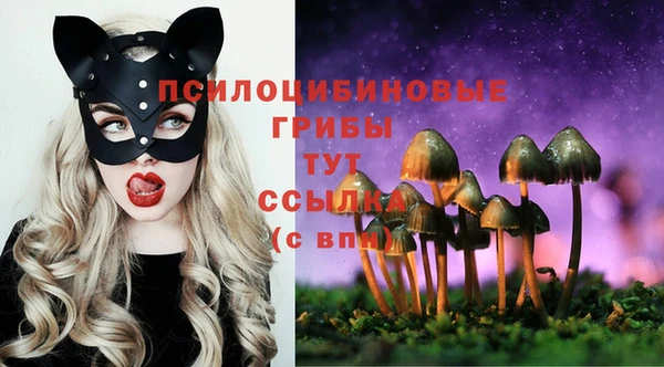 герыч Аркадак