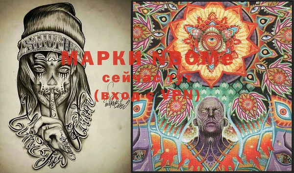 крисы Баксан