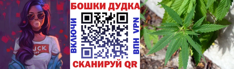 Бошки марихуана сатива  Суровикино 
